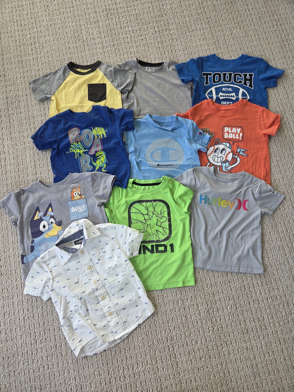 Boys' 2T Shirt Lot - Bluey, Hurley, Champion, OshKosh